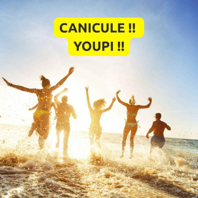 Cynisme et canicule